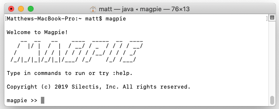 A terminal running the magpie command, showing the ASCII-art welcome banner and an interactive "magpie >>" prompt