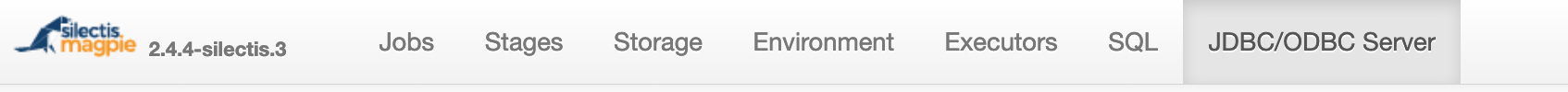 The Spark UI navigation bar, with tabs for Jobs, Stages, Storage, Environment, Executors, SQL and JDBC/ODBC Server